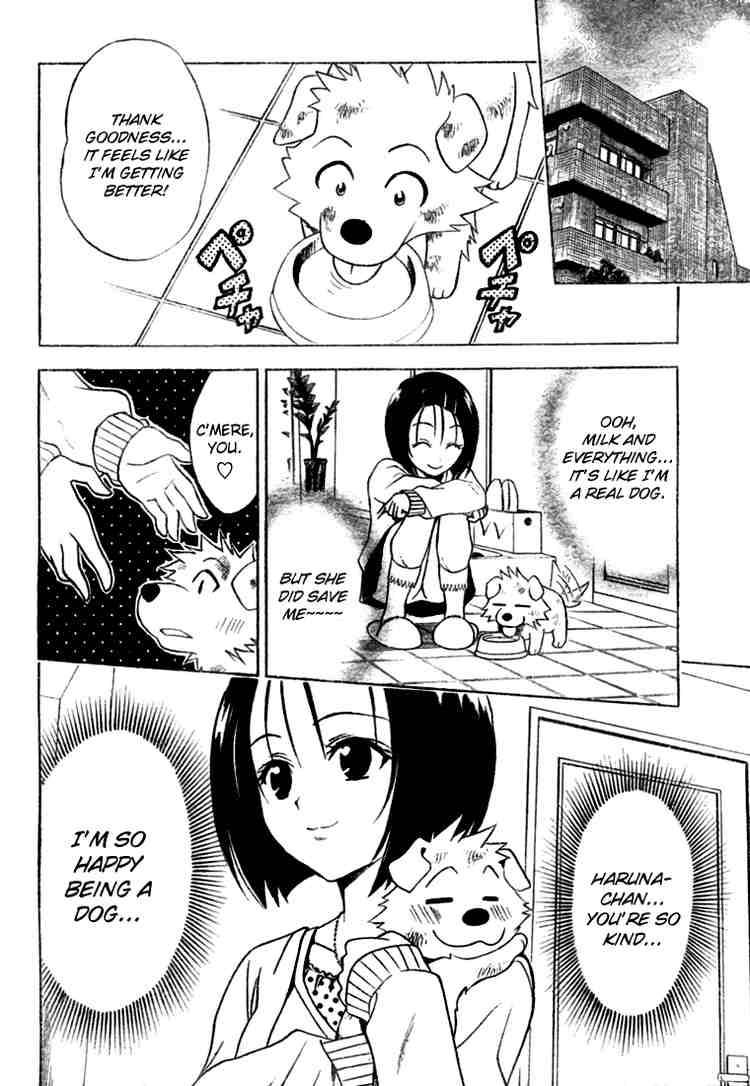 to_love_ru_43_18