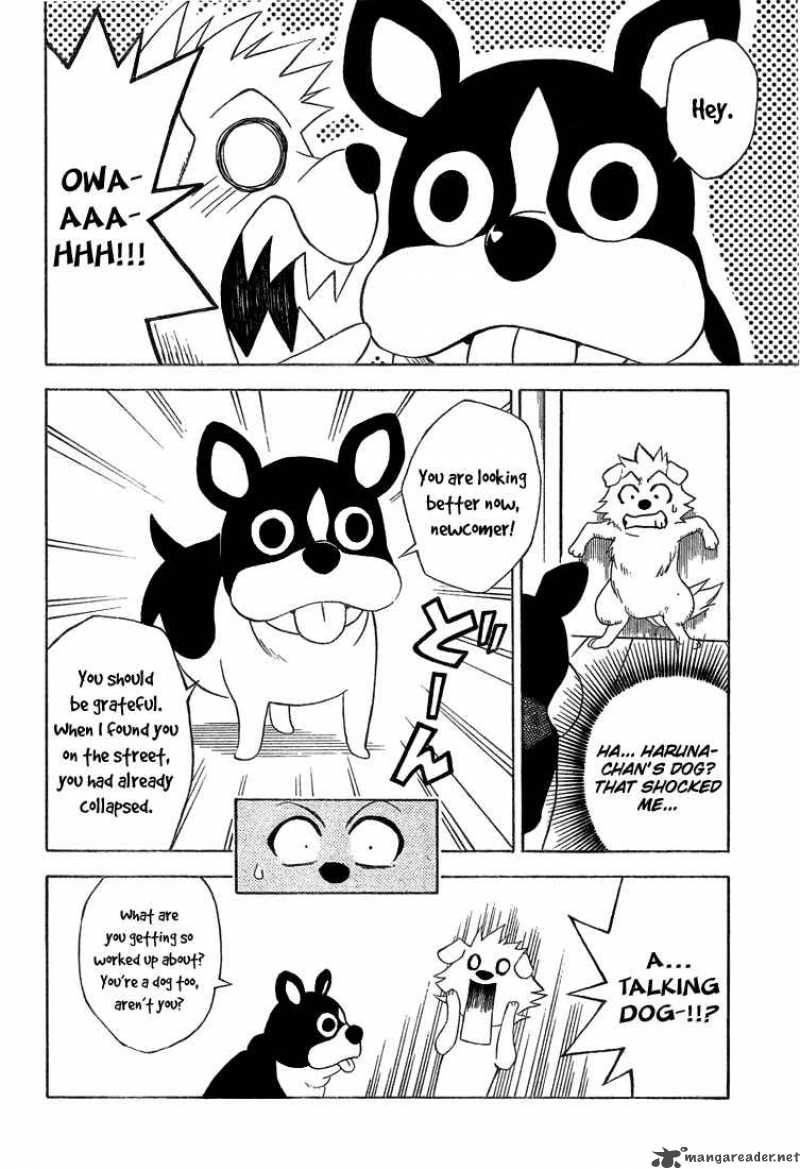 to_love_ru_44_6