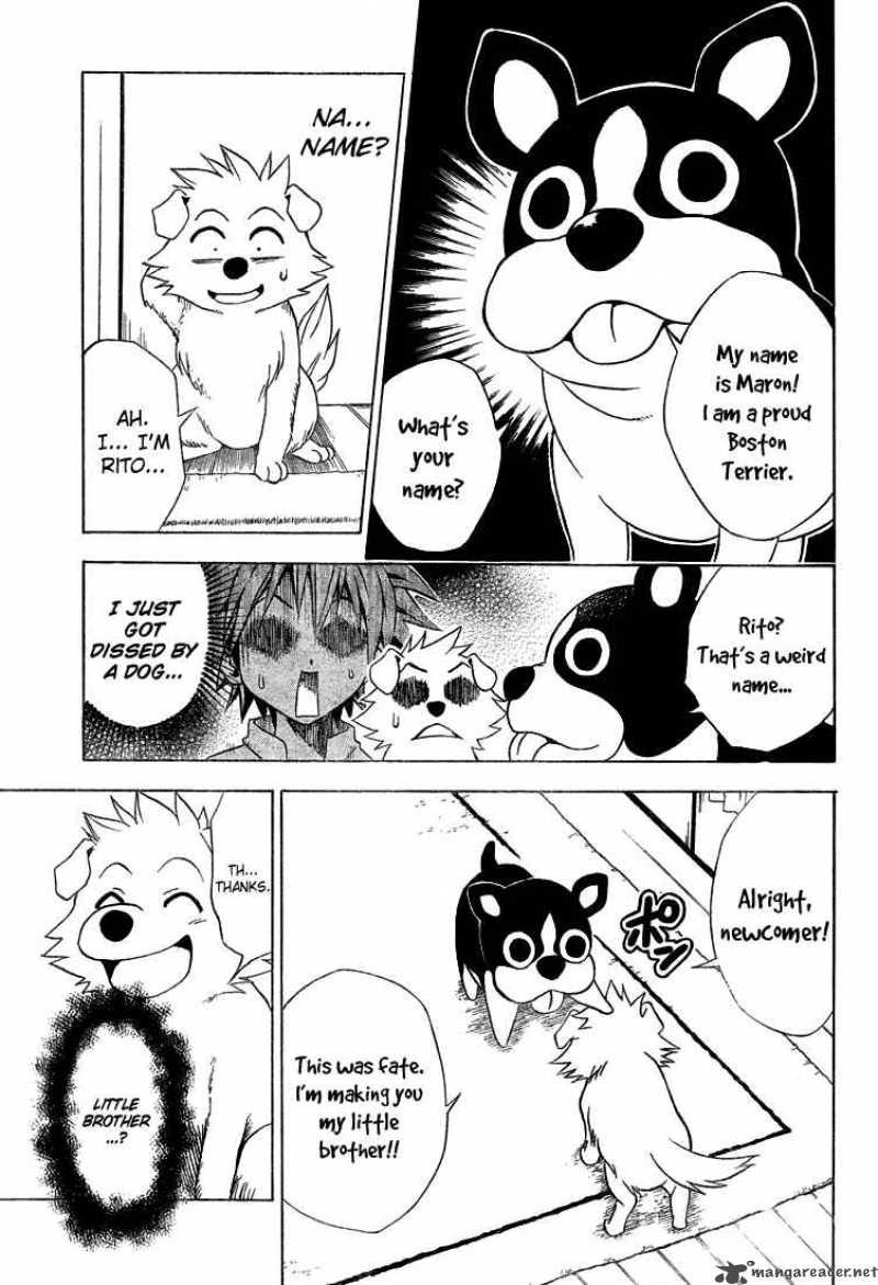 to_love_ru_44_7