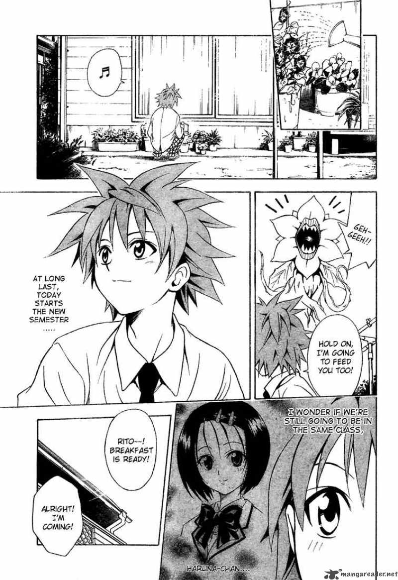 to_love_ru_49_5