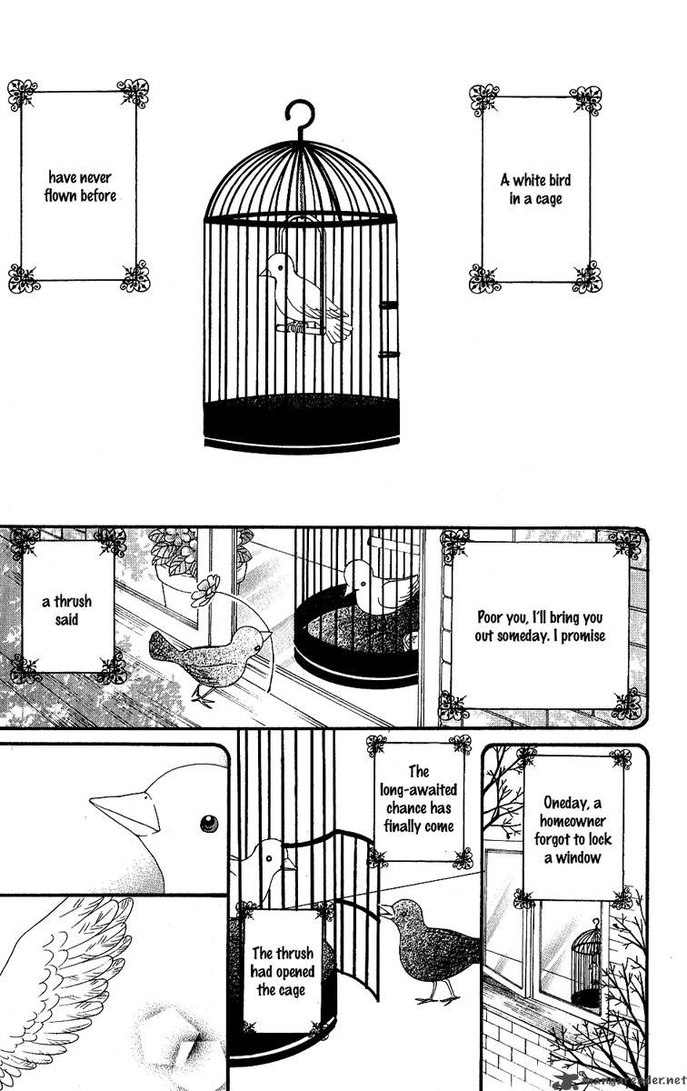 tobenai_tori_1_8