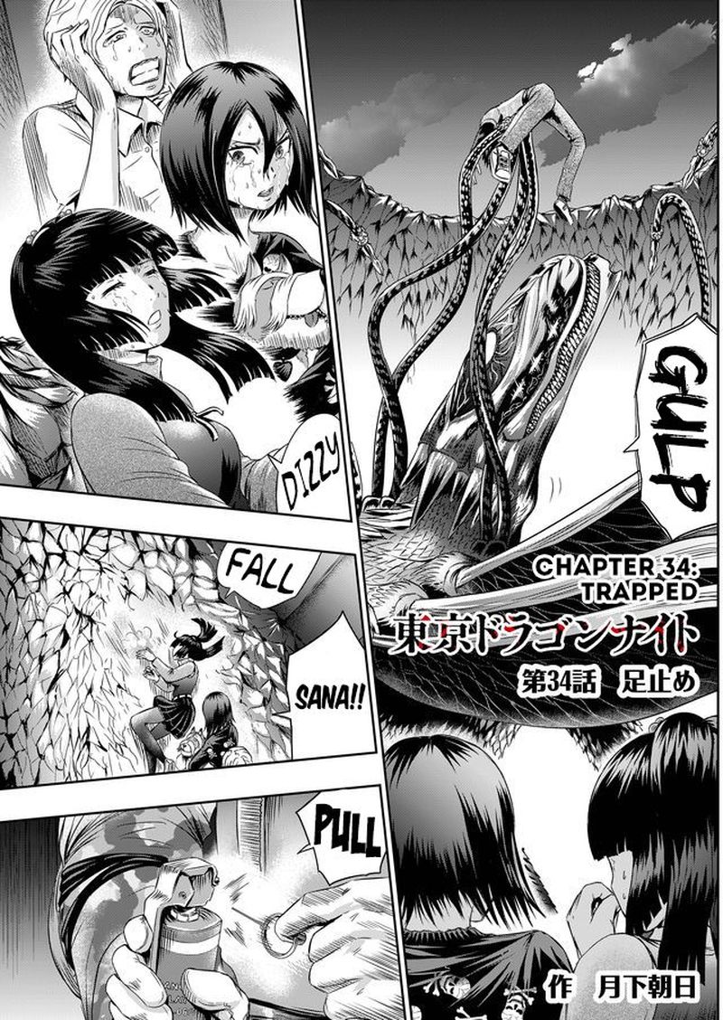 tokyo_dragon_34_1