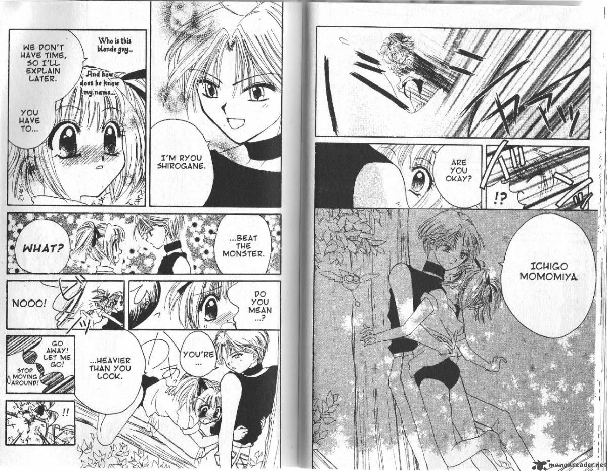 tokyo_mew_mew_1_21