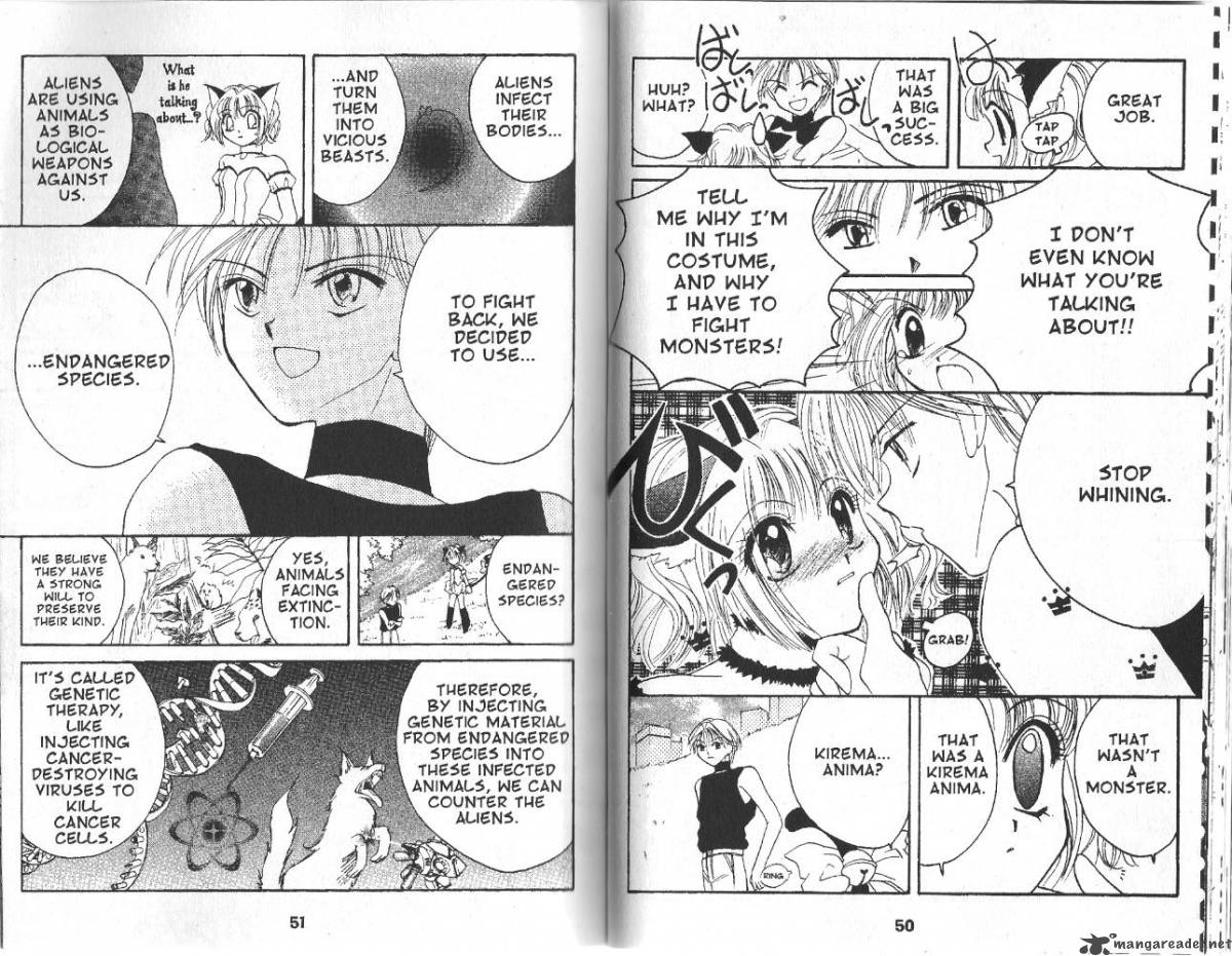 tokyo_mew_mew_1_25