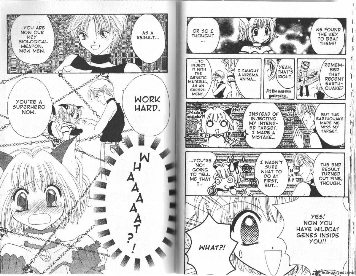 tokyo_mew_mew_1_26