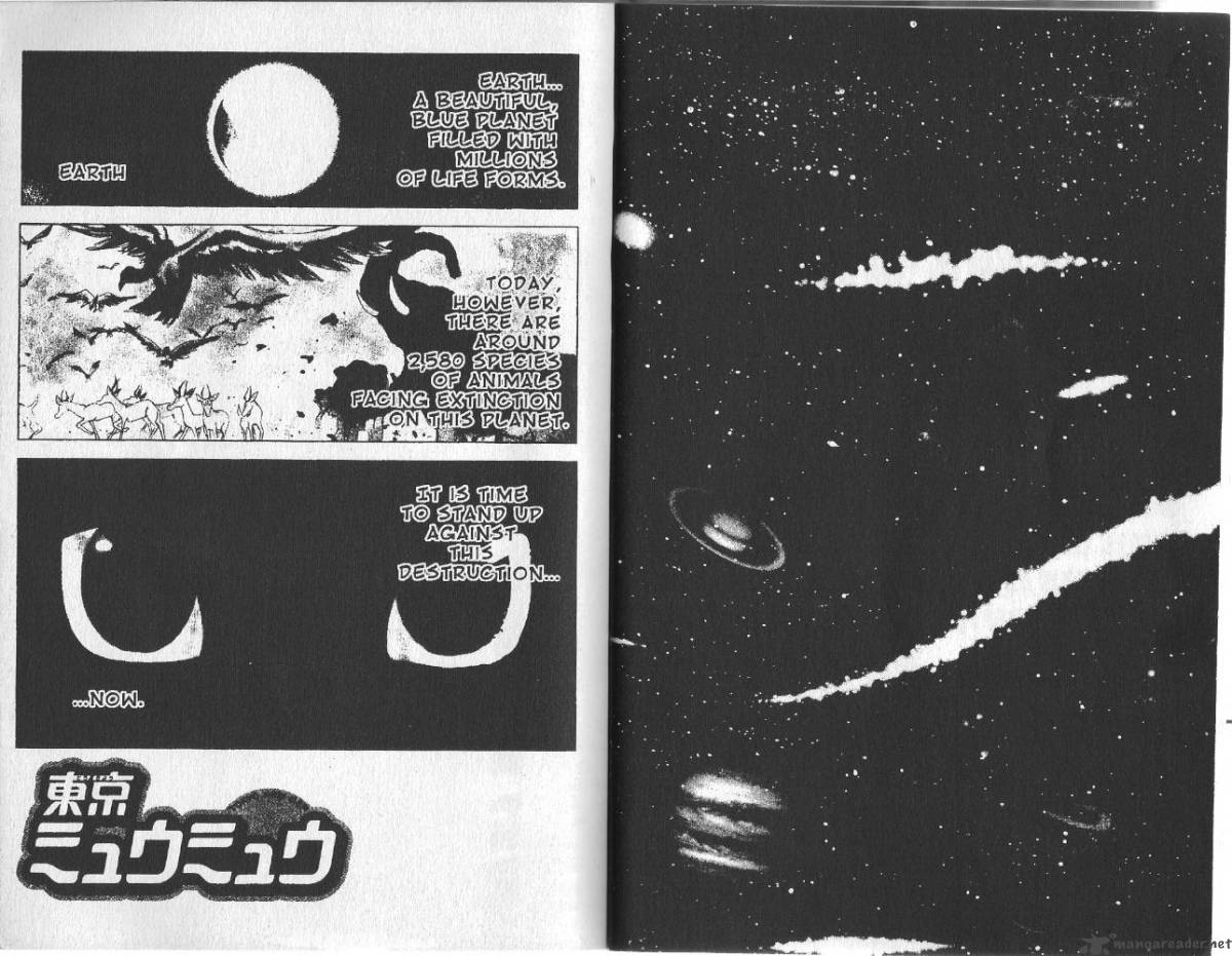 tokyo_mew_mew_1_3