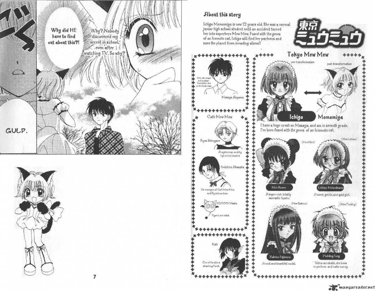 tokyo_mew_mew_10_3