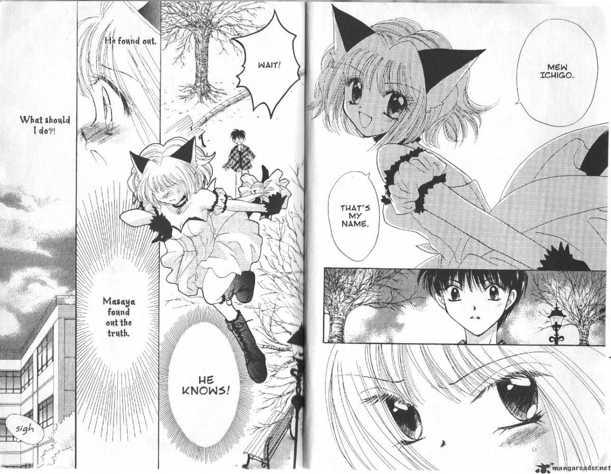 tokyo_mew_mew_10_4