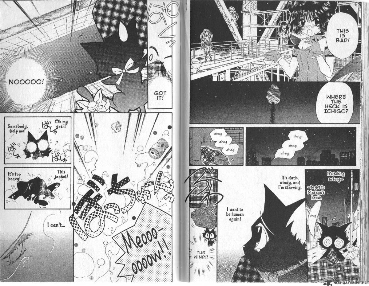 tokyo_mew_mew_13_8