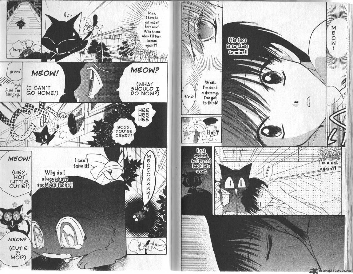 tokyo_mew_mew_14_2