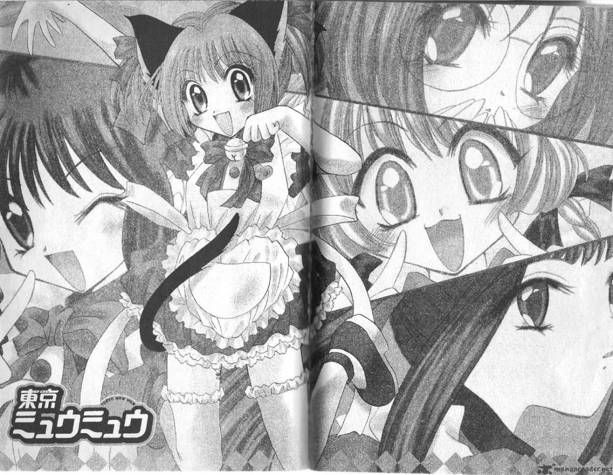 tokyo_mew_mew_15_23