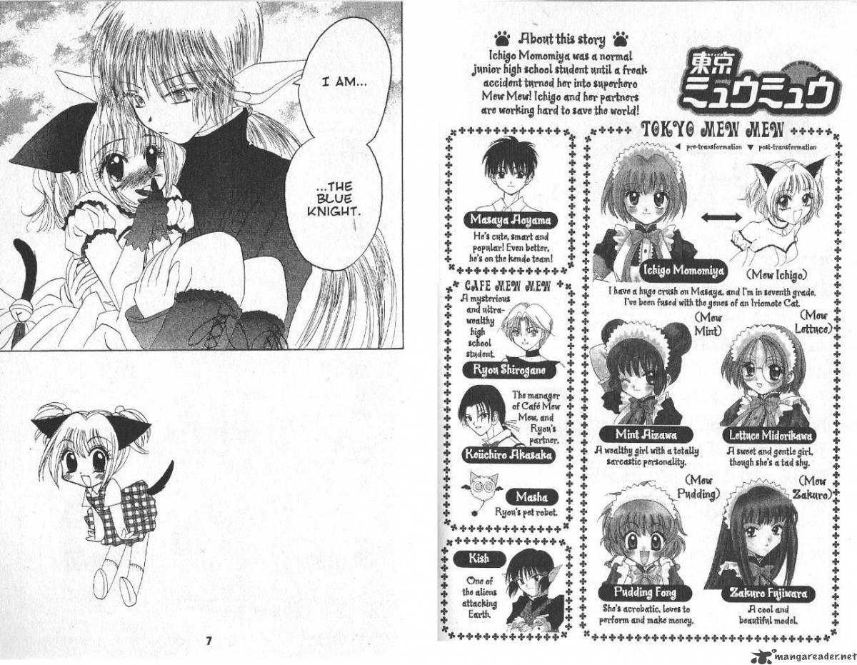 tokyo_mew_mew_19_3