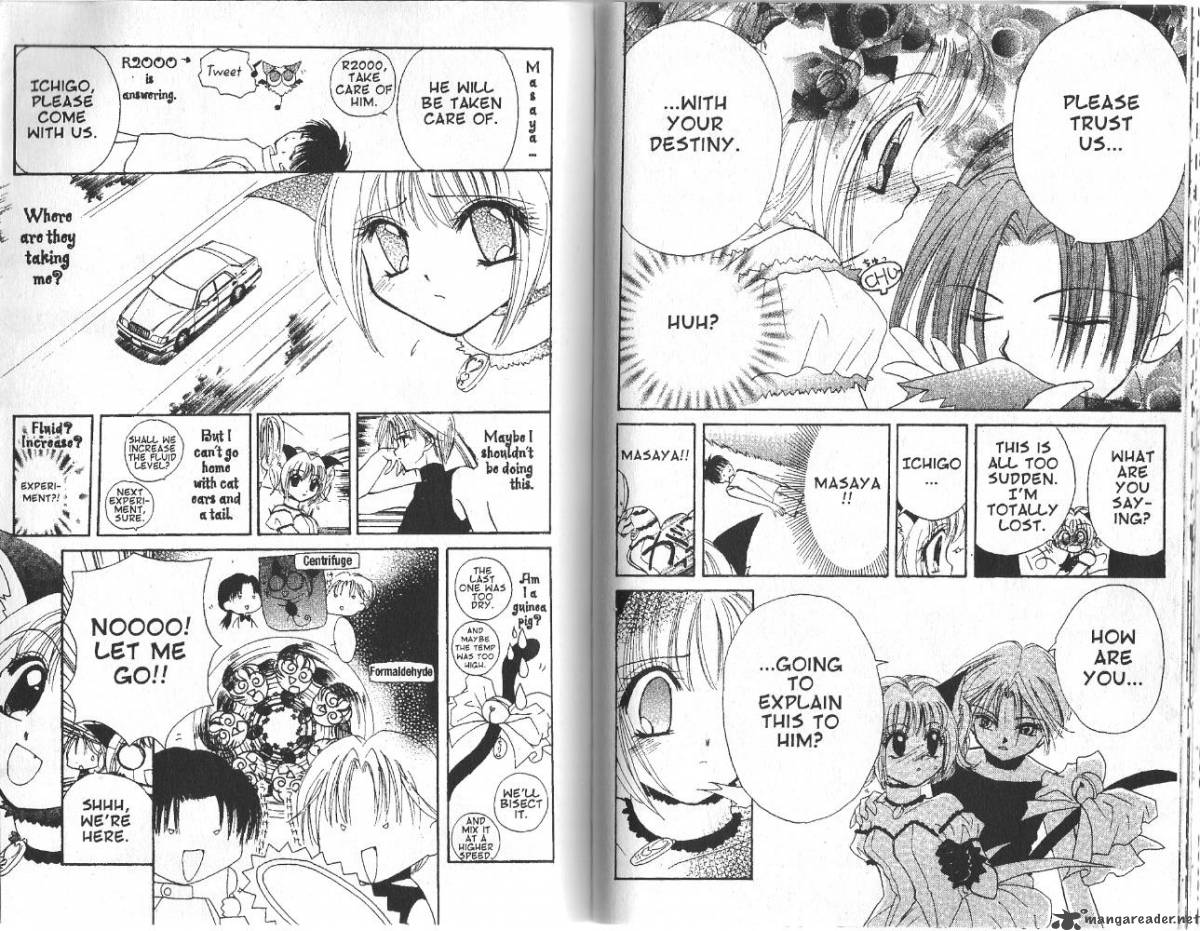 tokyo_mew_mew_2_2