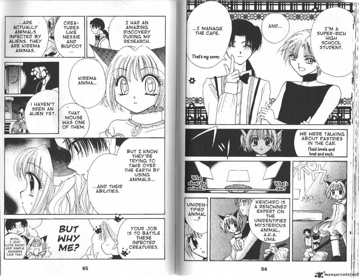 tokyo_mew_mew_2_4