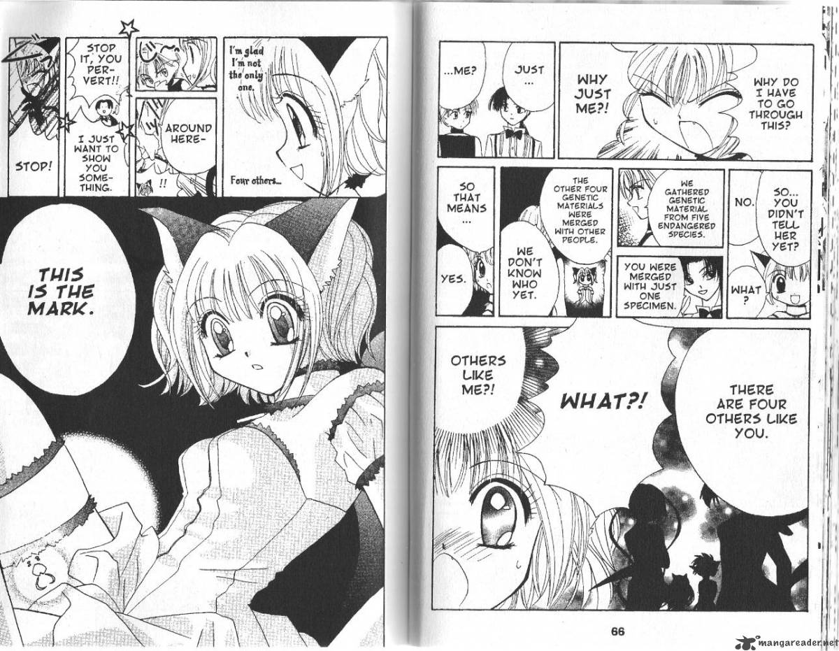 tokyo_mew_mew_2_5