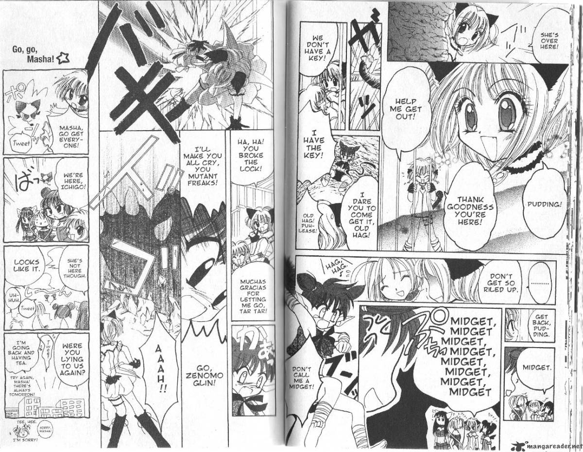 tokyo_mew_mew_20_11