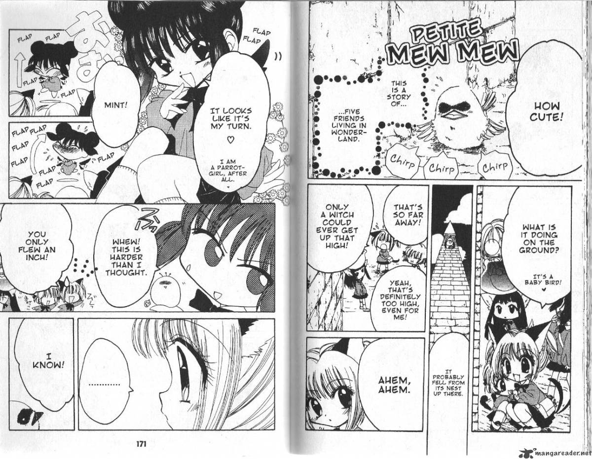 tokyo_mew_mew_23_11