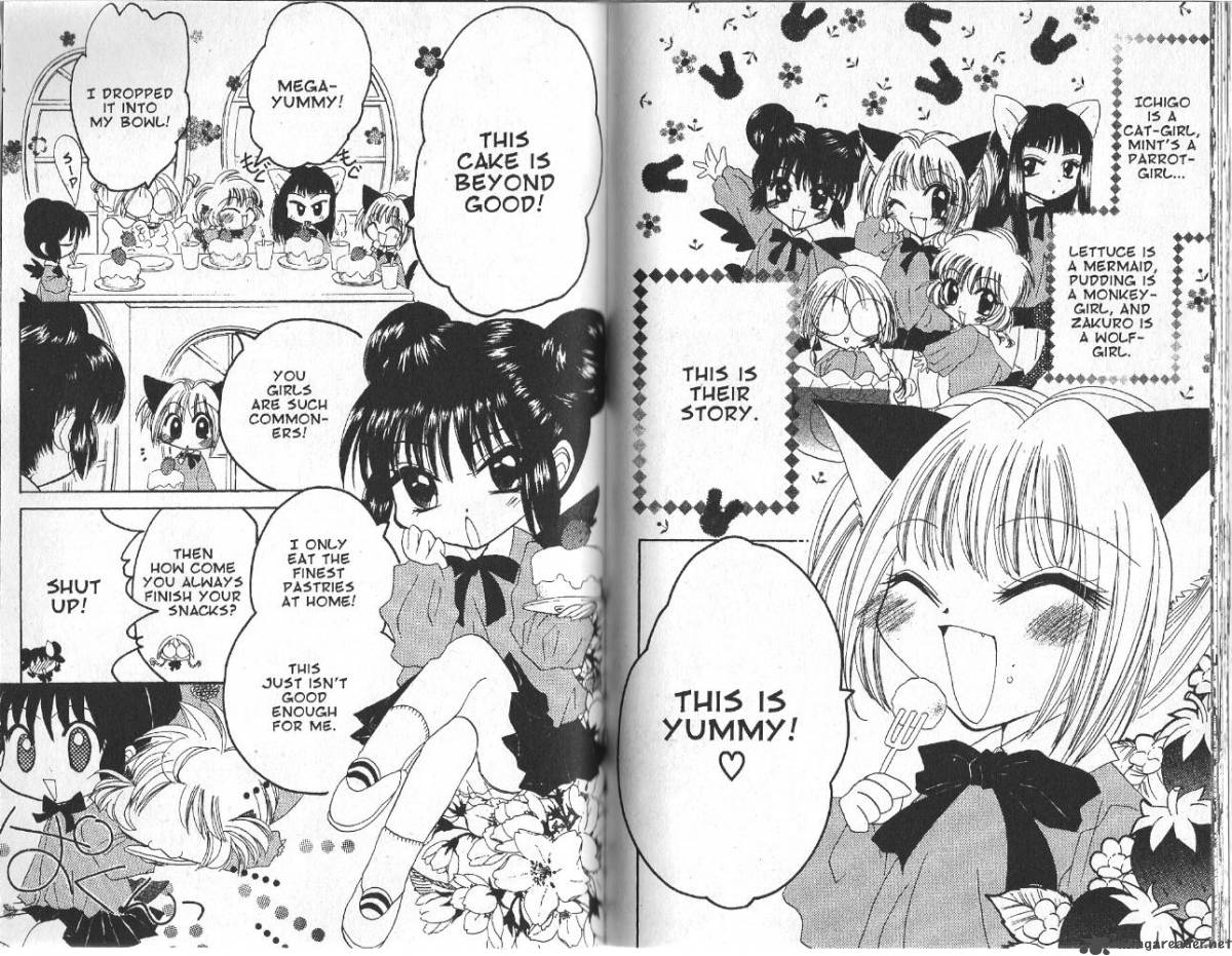 tokyo_mew_mew_23_2