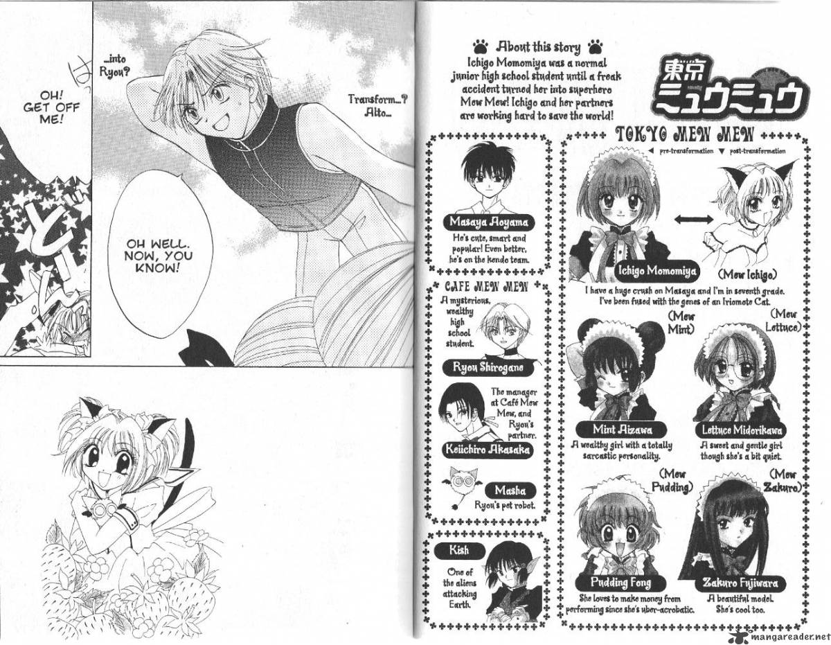 tokyo_mew_mew_24_3