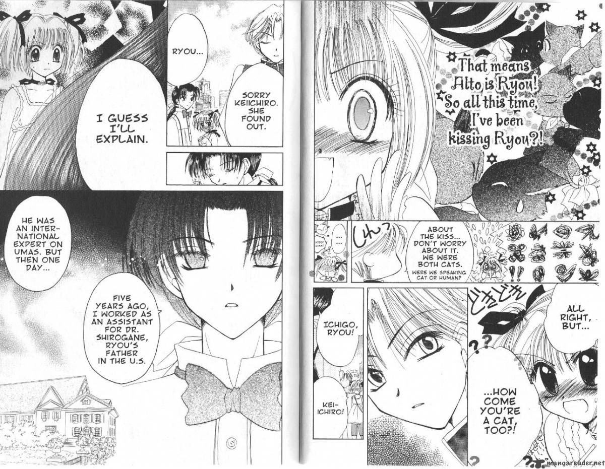 tokyo_mew_mew_24_4