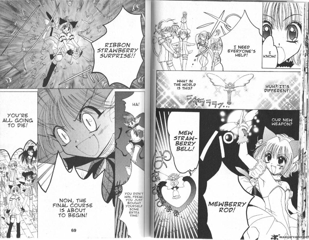 tokyo_mew_mew_25_13
