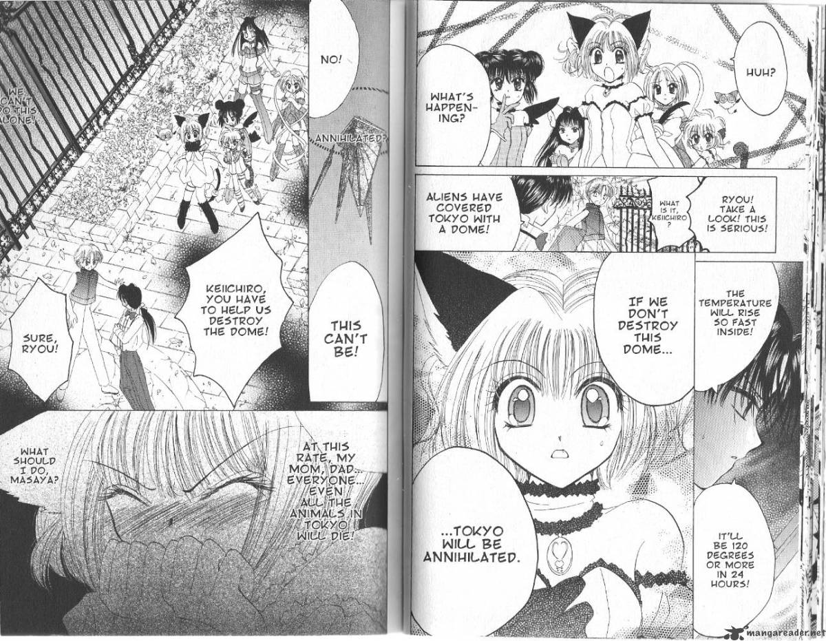 tokyo_mew_mew_25_15