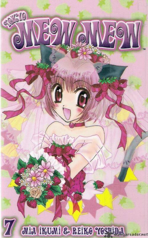 tokyo_mew_mew_29_1