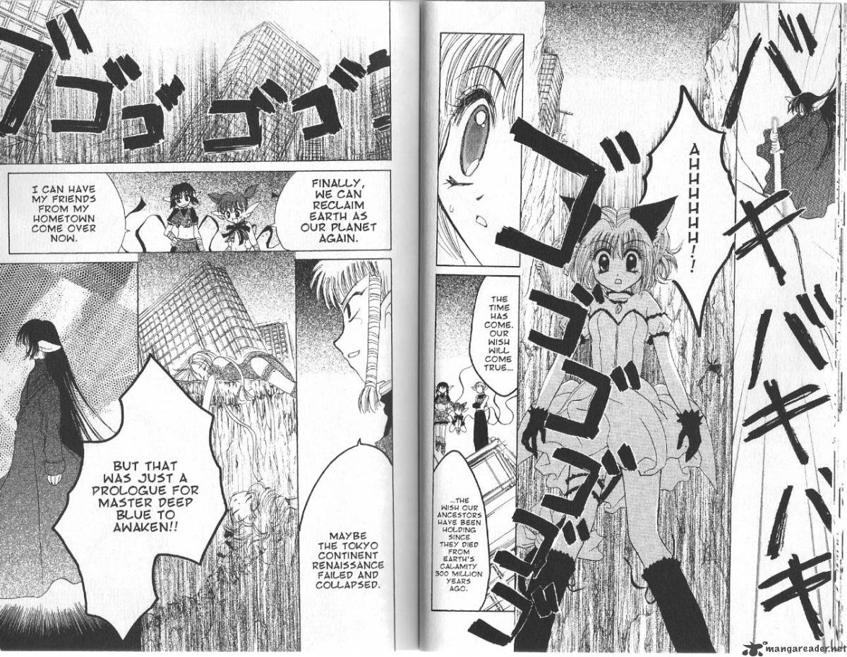 tokyo_mew_mew_29_13