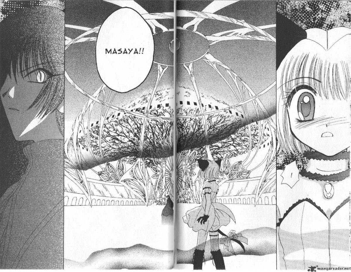 tokyo_mew_mew_30_10