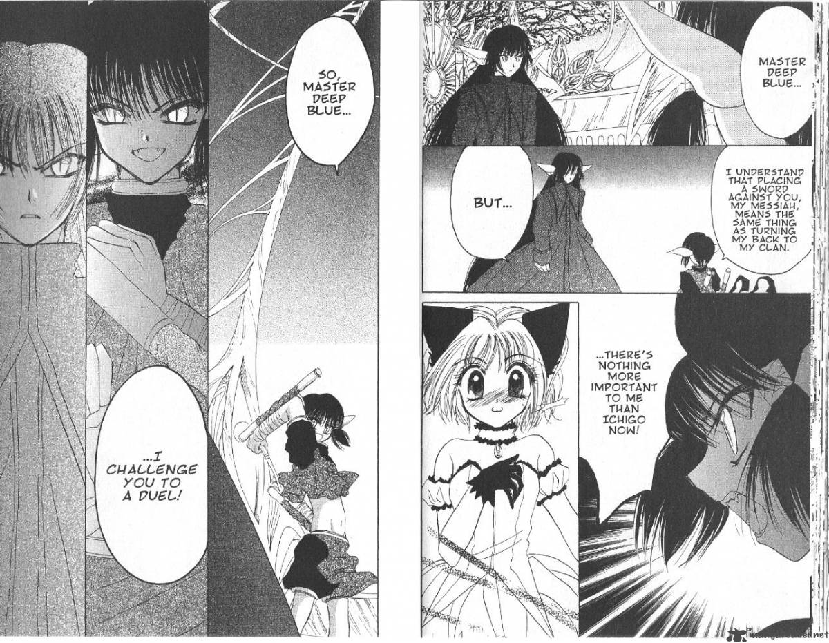tokyo_mew_mew_30_13