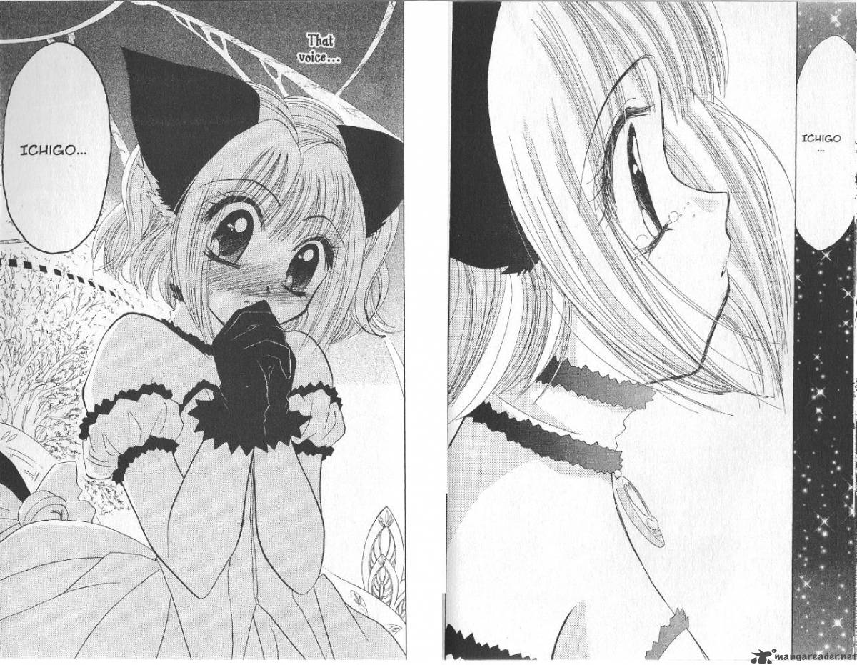 tokyo_mew_mew_30_19