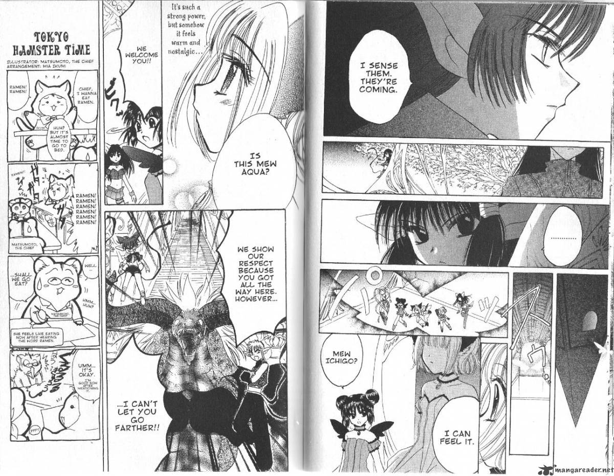 tokyo_mew_mew_30_5