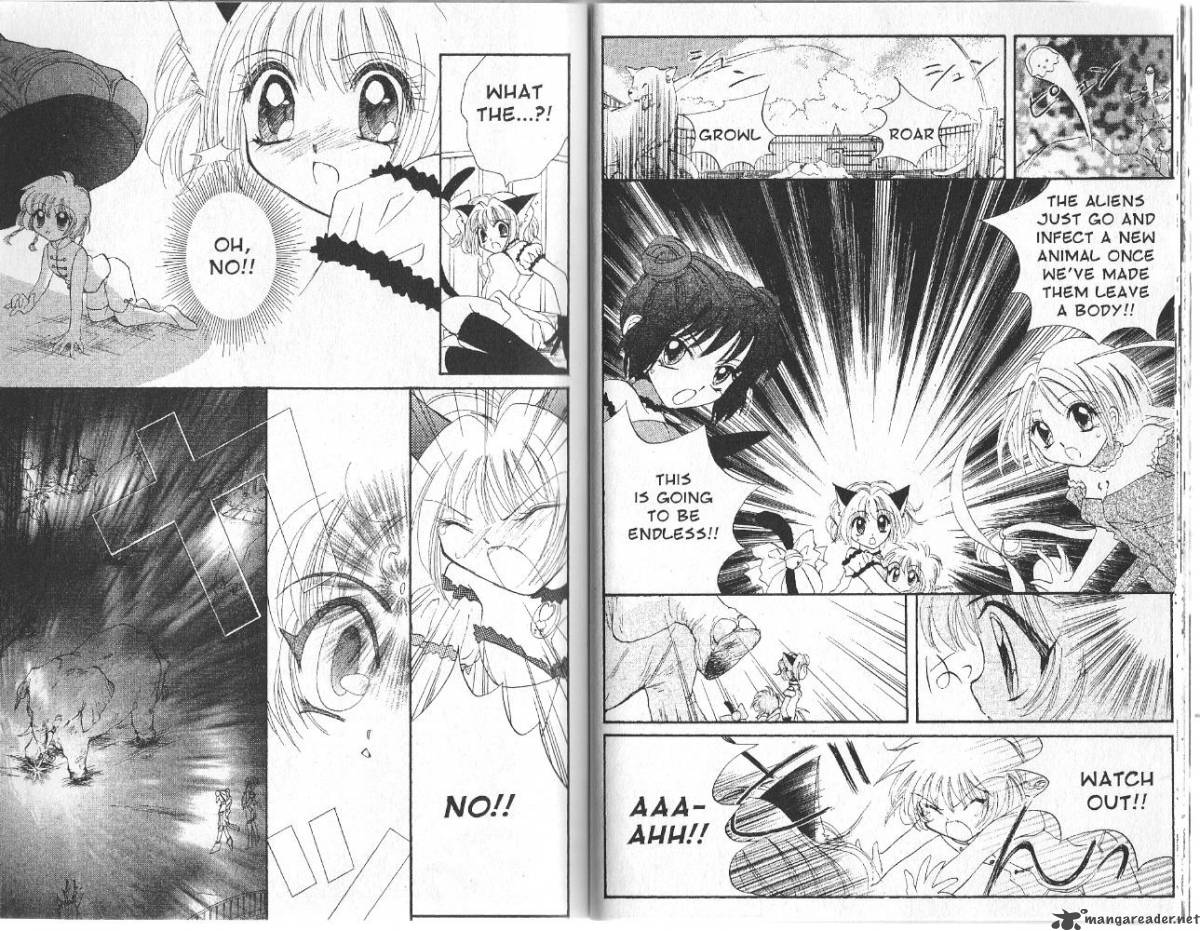 tokyo_mew_mew_5_13