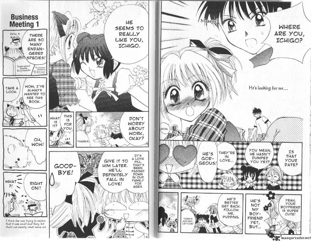 tokyo_mew_mew_5_17