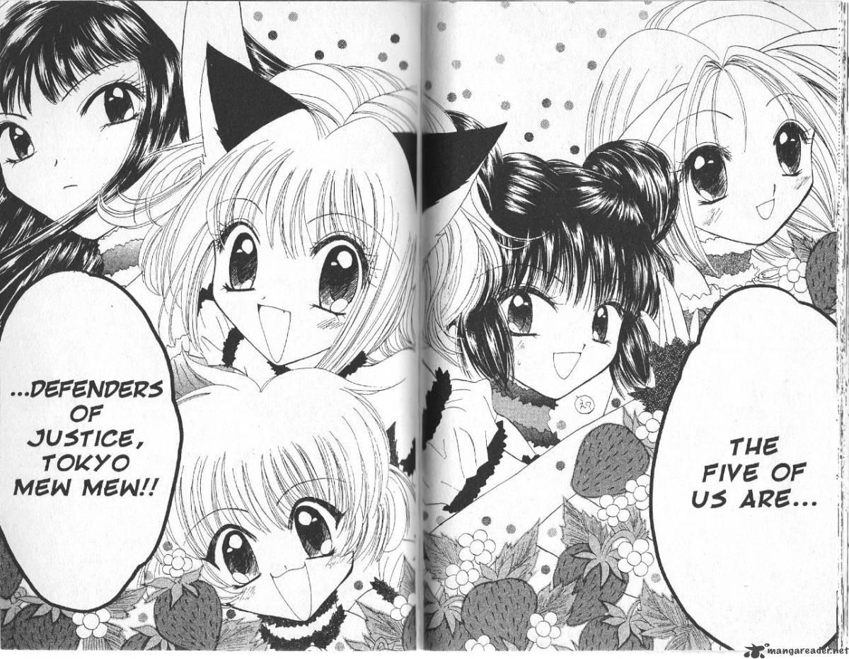 tokyo_mew_mew_8_16