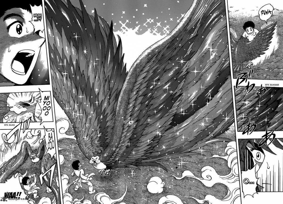toriko_268_8
