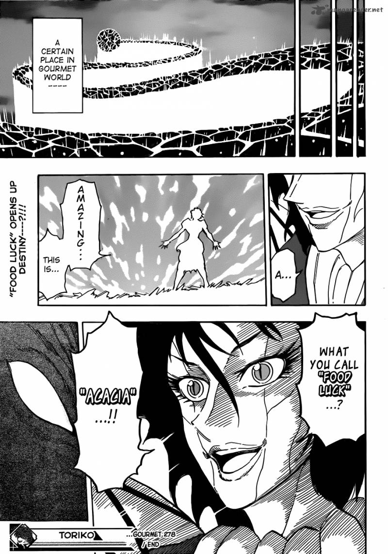toriko_278_17