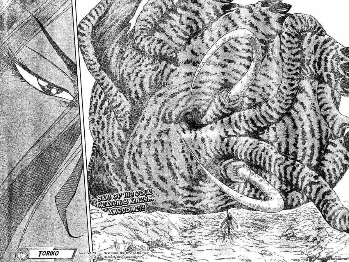 toriko_29_17