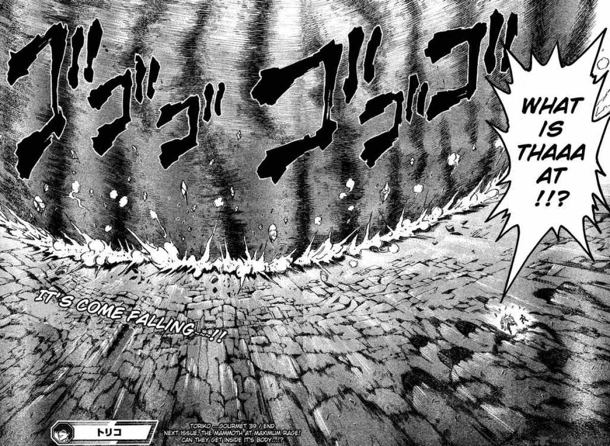 toriko_39_17