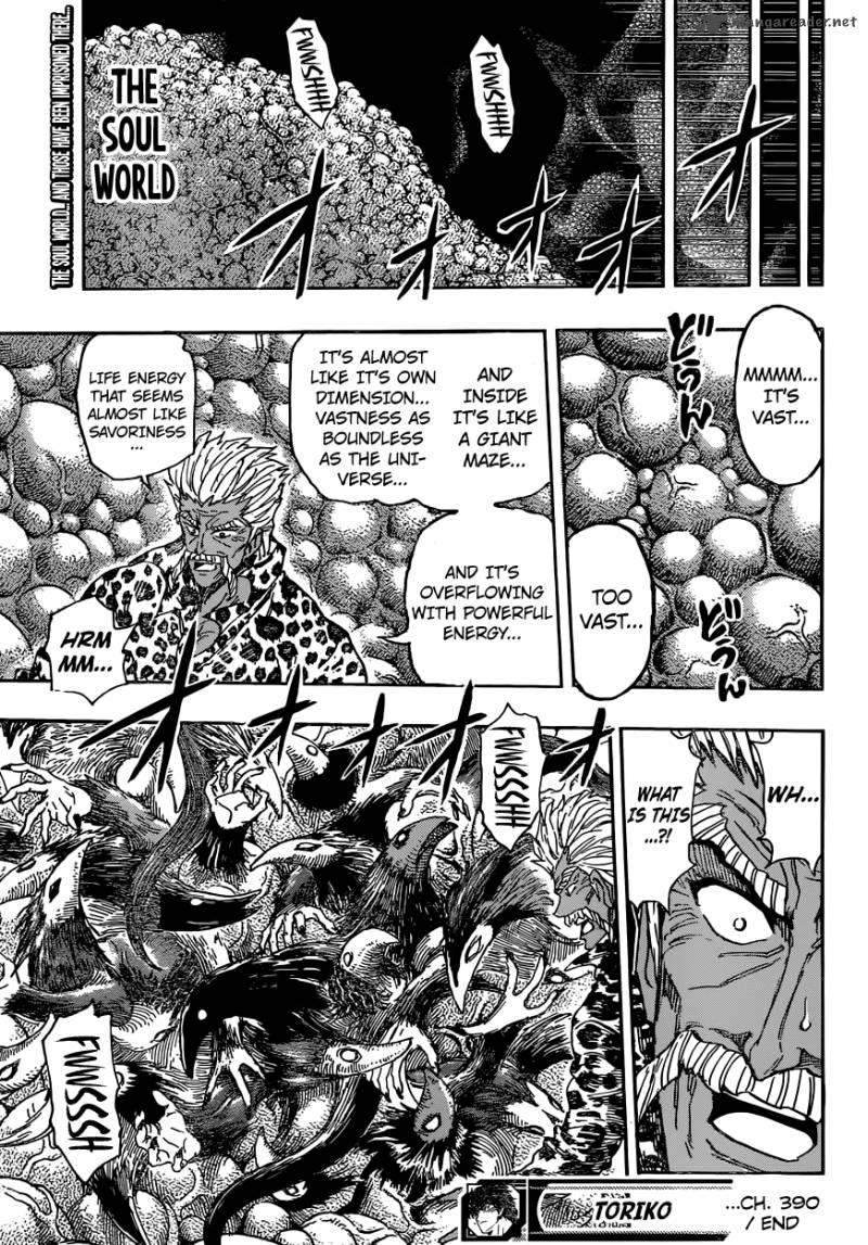 toriko_390_19