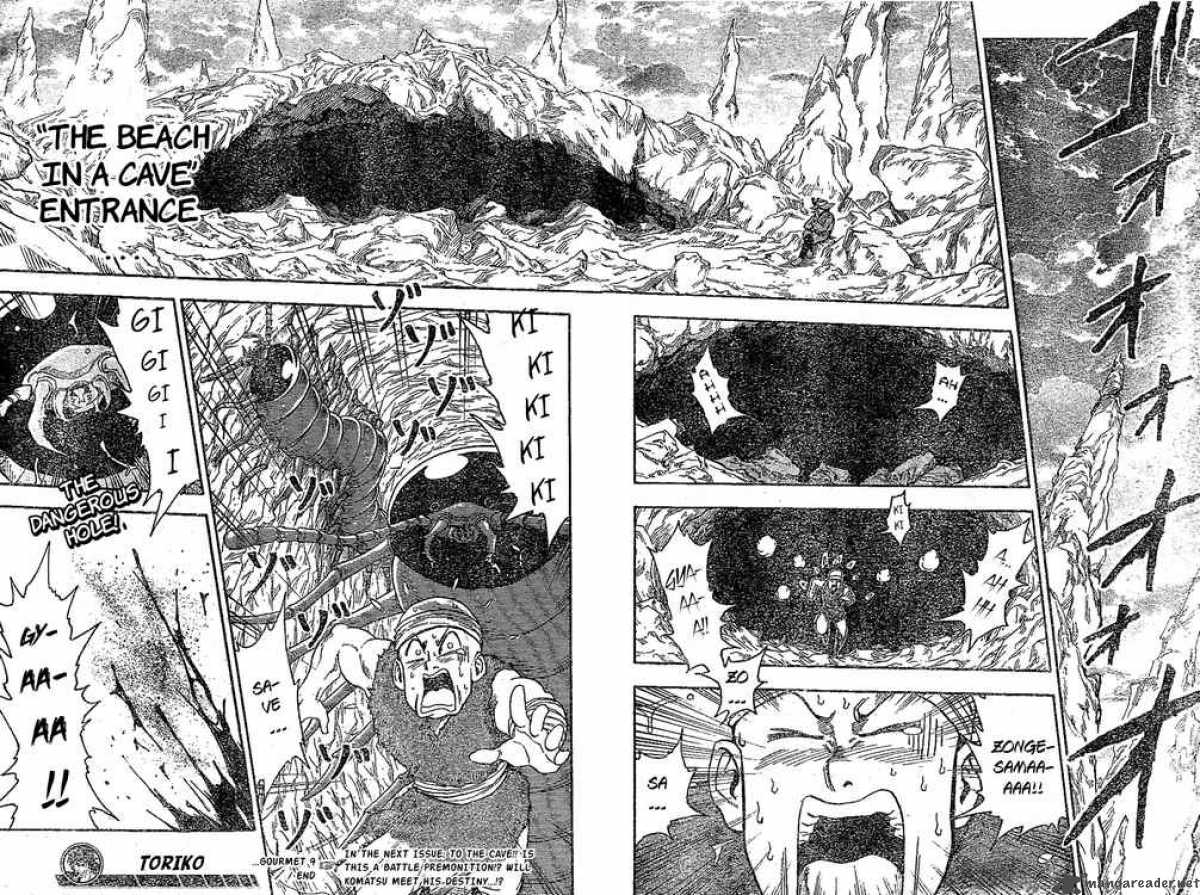 toriko_9_17