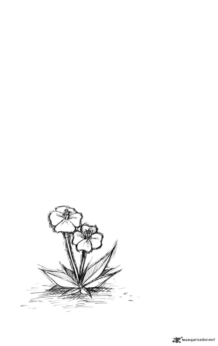 tripeace_12_48