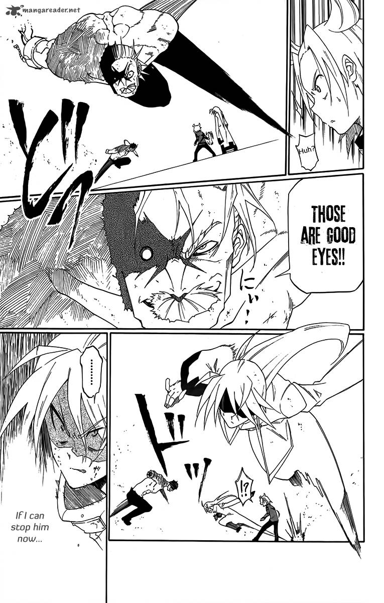 tripeace_28_15