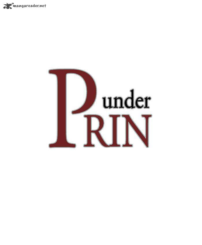 under_prin_113_1