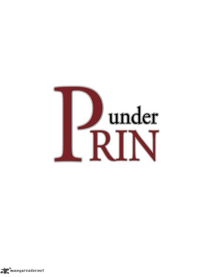 under_prin_123_1