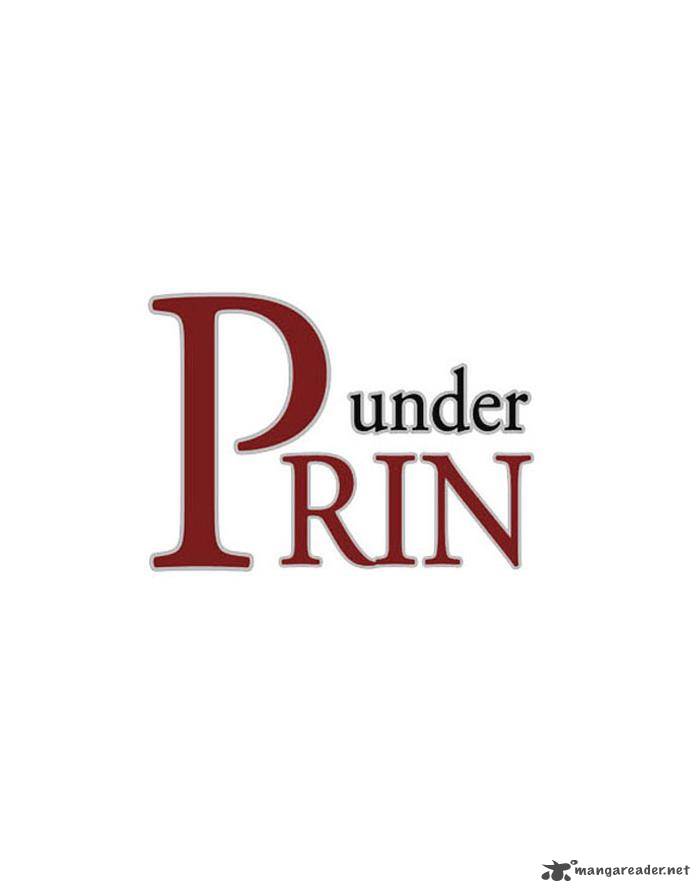 under_prin_132_1