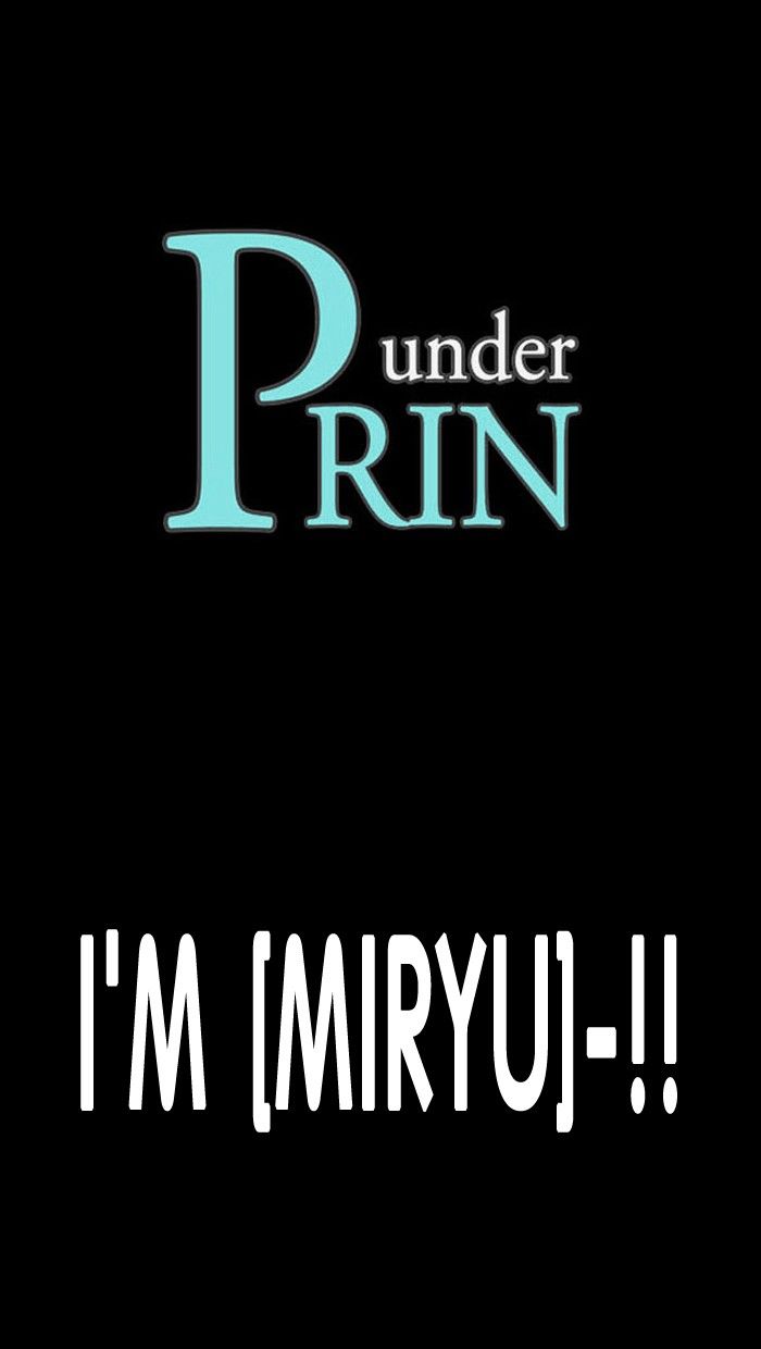 under_prin_133_1