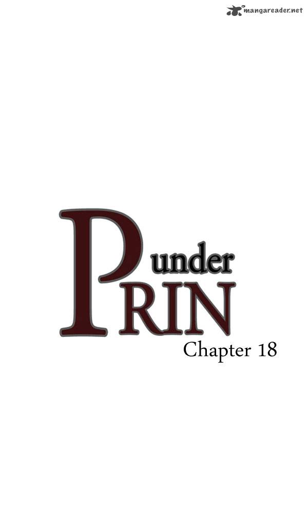 under_prin_18_3