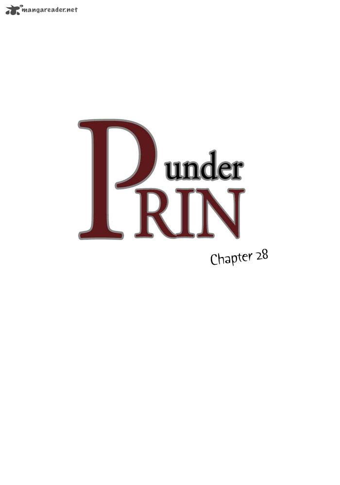 under_prin_28_2