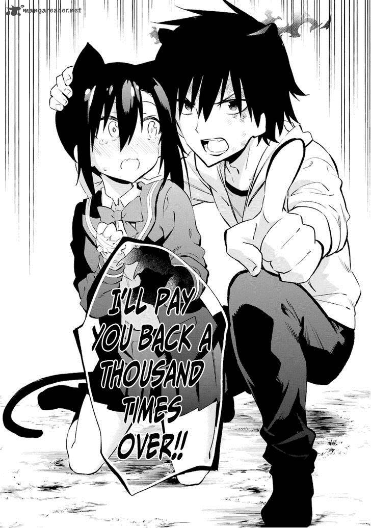 urami_koi_koi_urami_koi_17_35